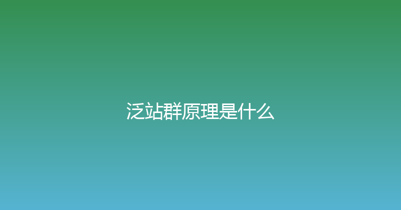 泛站群原理是什么 封面图