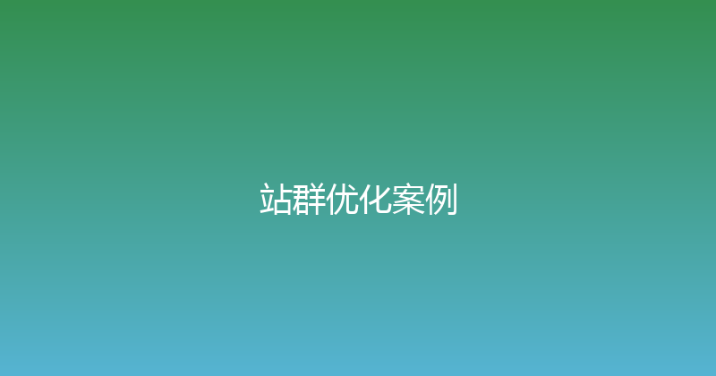 站群优化案例 封面图